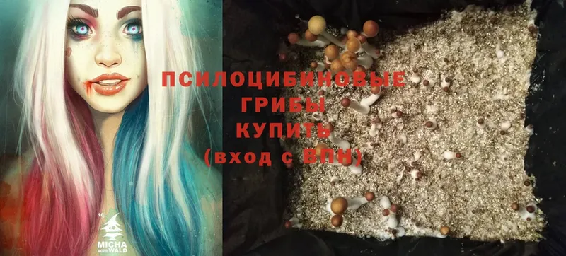 Псилоцибиновые грибы MAGIC MUSHROOMS  Добрянка 